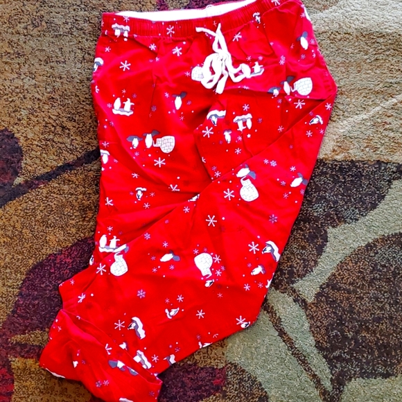 Faded Glory Other - Women's small pajama bottoms